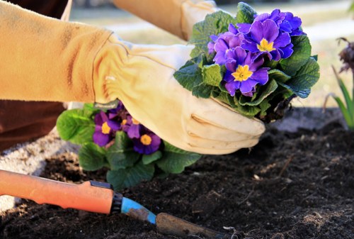 Garden maintenance team trimming borders in the middle of season